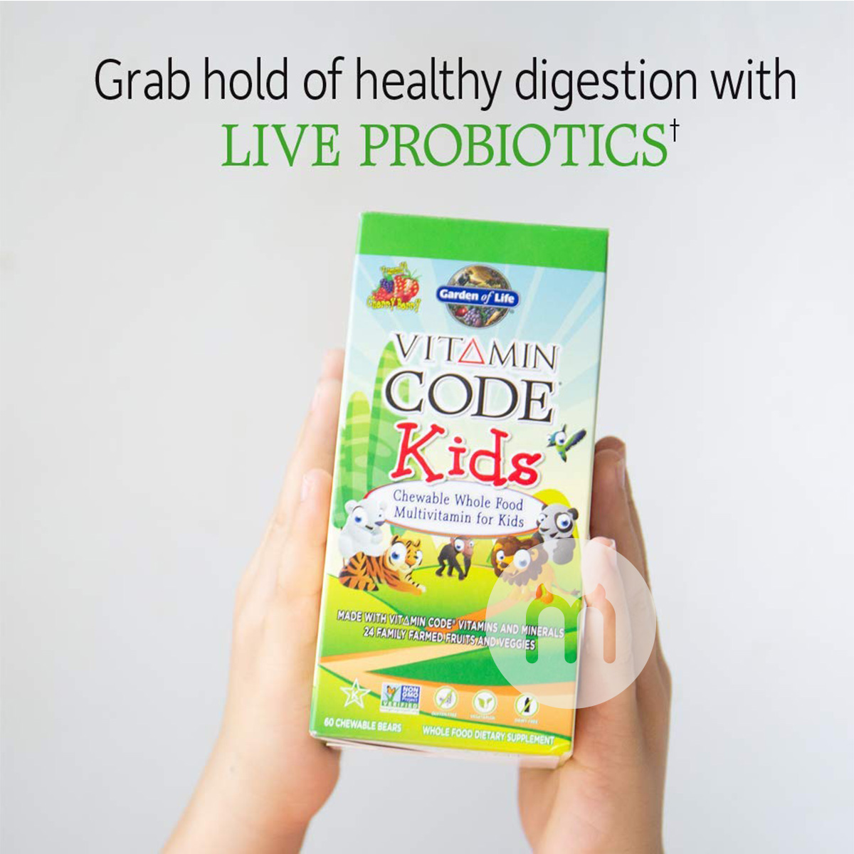 Garden of Life American Children's Vitamin Multi-fruits and Vegetables Plus Probiotics Cherry Berry Flavor