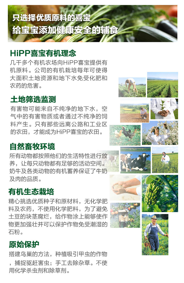 HIPP German Xibao Organic Mixed Fruit Breakfast Rice noodles for more than 6 months